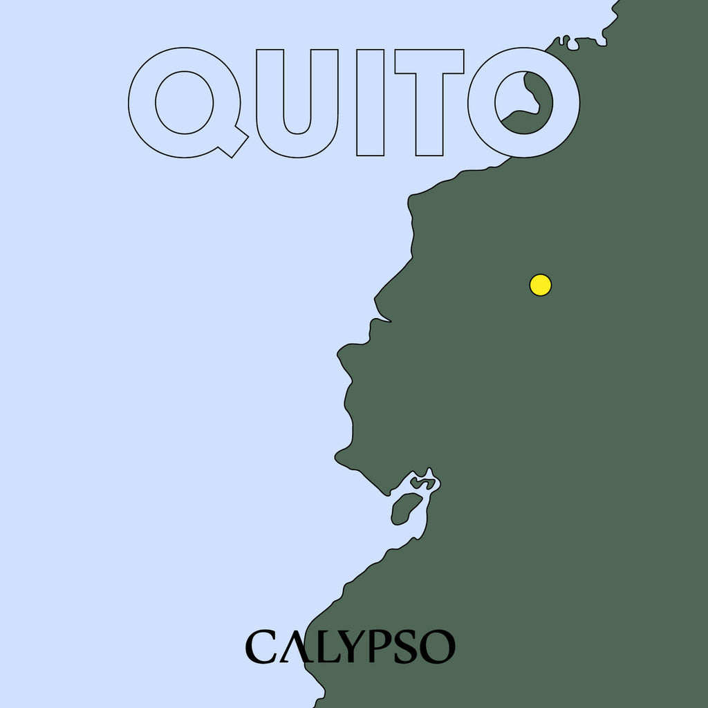 QUITO : VARIOUS ARTISTS [ Calypso Records ]
