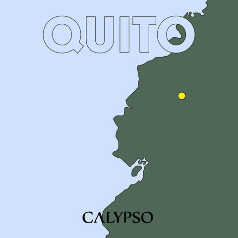 QUITO : VARIOUS ARTISTS [ Calypso Records ]