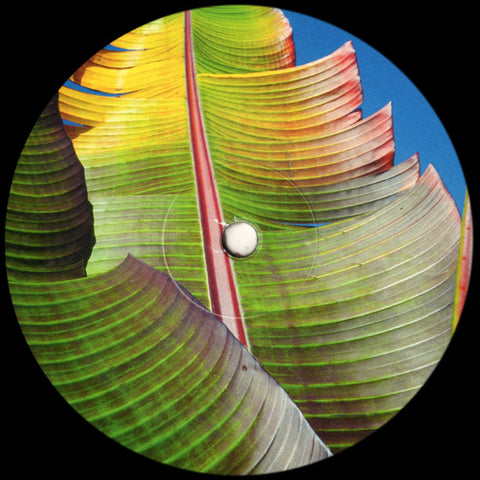 KH : ONLY HUMAN [ Text Records ]