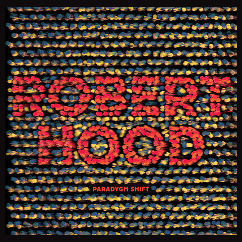 ROBERT HOOD : PARADYGM SHIFT [ Dekmantel ]