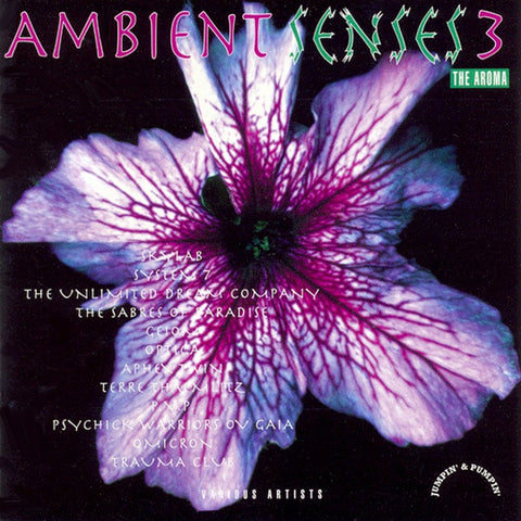 AMBIENT SENSES 3 : VARIOUS ARTISTS [ Jumpin' & Pumpin' ]