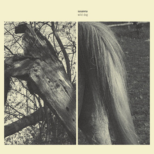 Susanne Wild Dogs Rune Grammophon