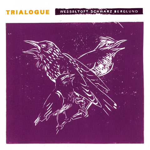 WESSELTOFT, SCHWARTZ, BERGLUND TRIALOGUE  [ Sunday Music ]
