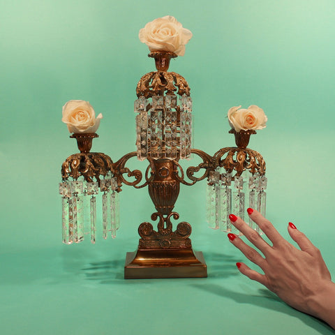 TROPIC OF CANCER [ Blackest Ever Black ]