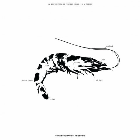 SUSUMU YOKOTA : SPACE TEDDY EP 3 [ Transmigration ]