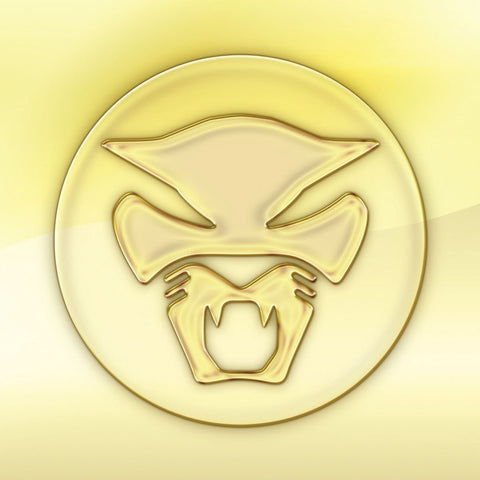 THUNDERCAT : THE GOLDEN AGE OF APOCALYPSE [ Brainfeeder ]